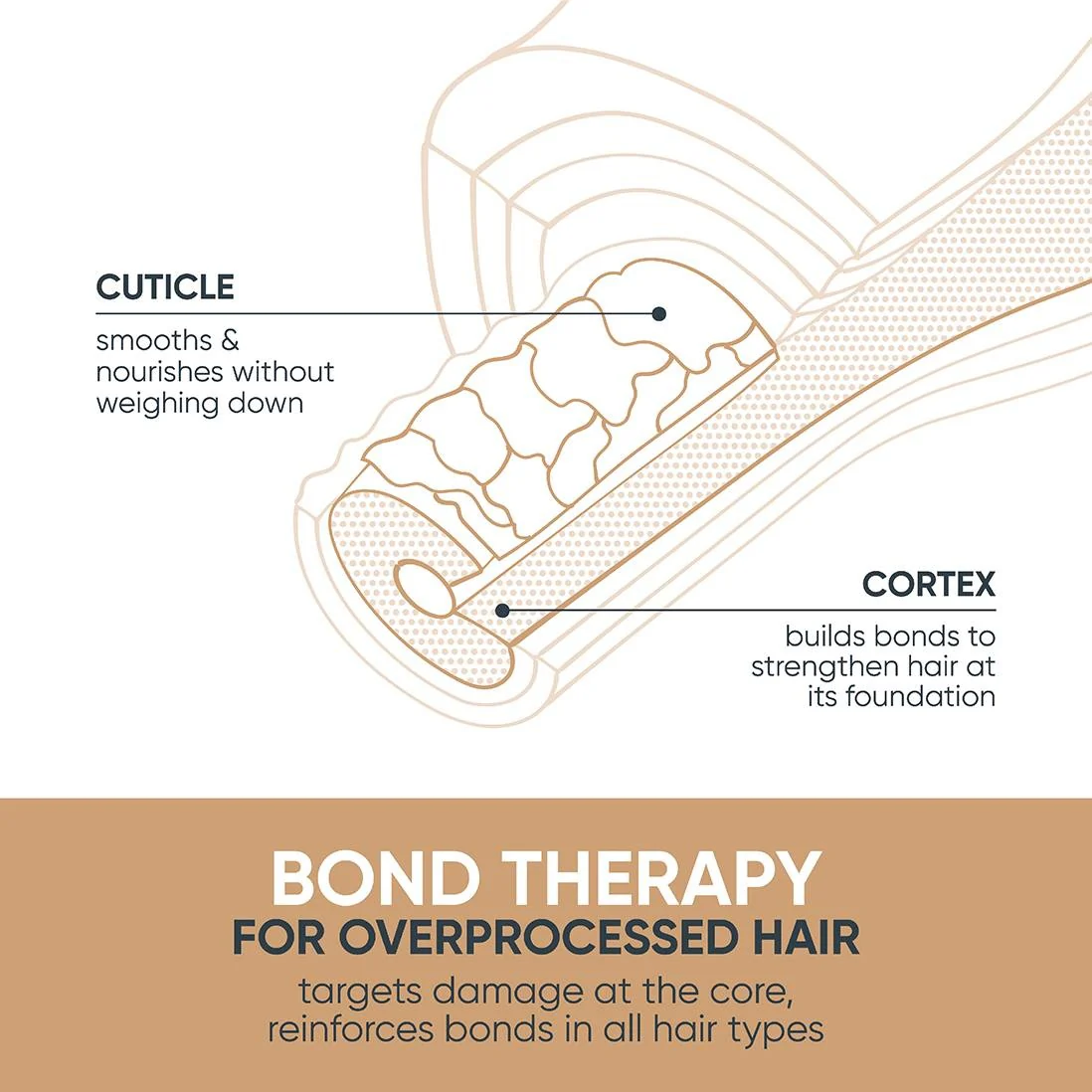 Bond Therapy Intensive Treatment -150ml - Image 4
