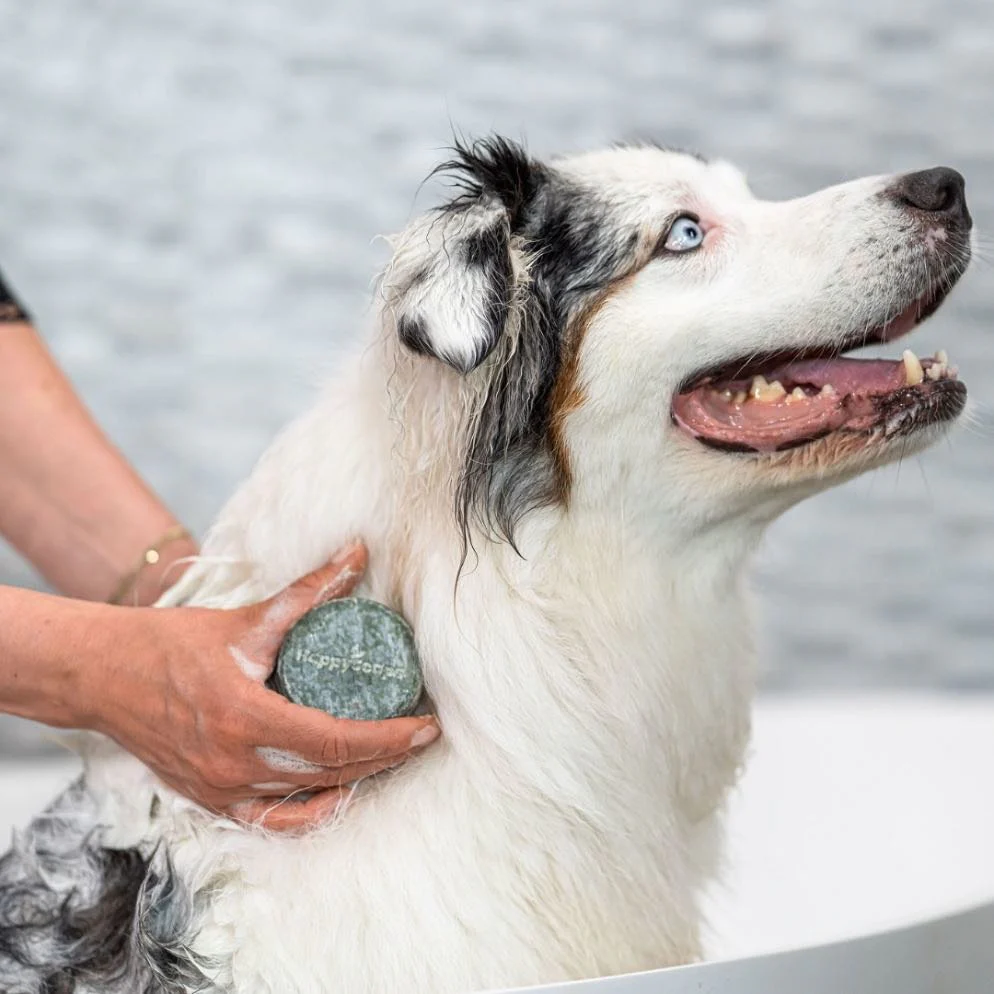 Honden Universeel Shampoo Bar - 70g - Image 2
