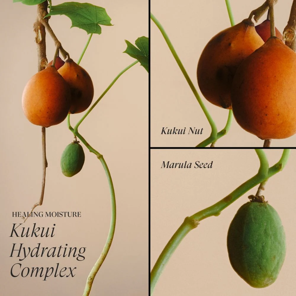 Healing Moisture Kukui Nut Conditioner - 250ml - Image 7