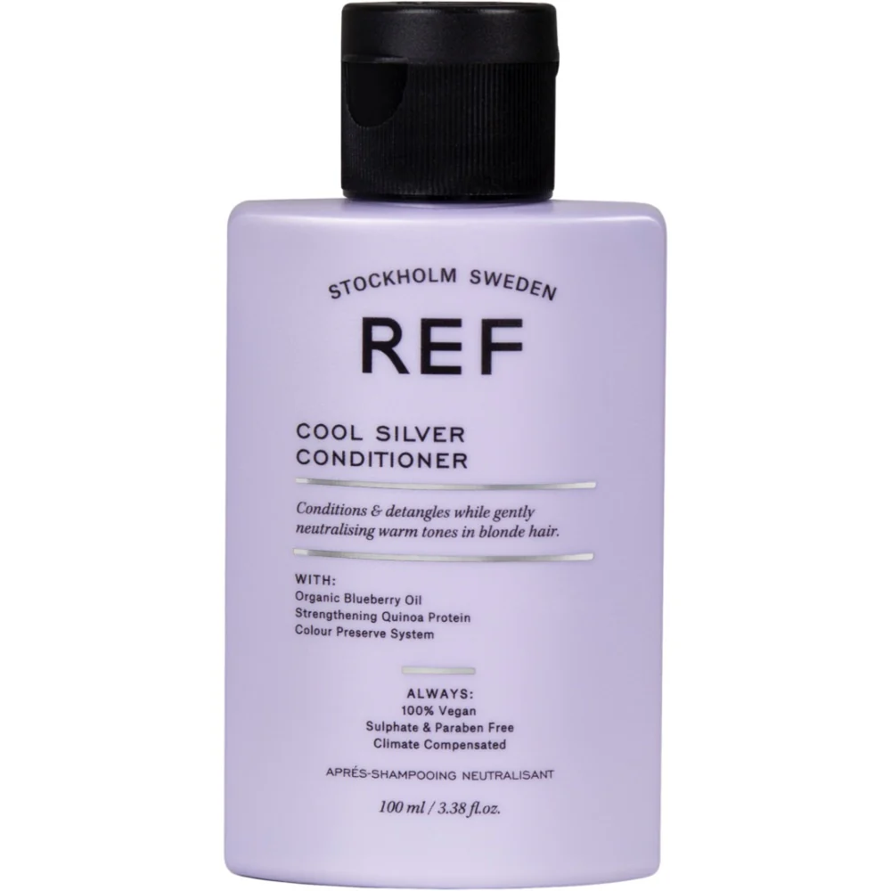 Cool Silver Conditioner - Image 4