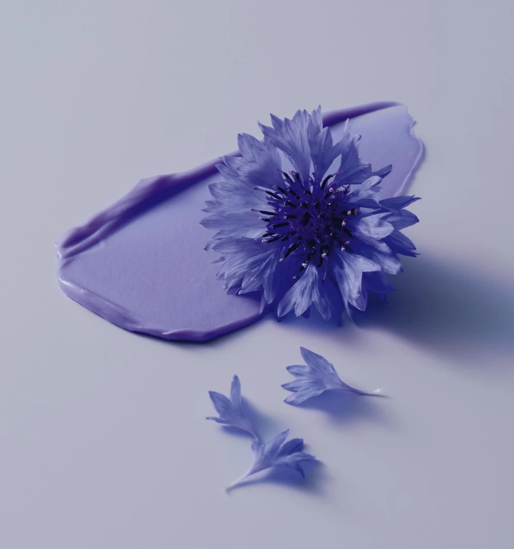 BLONDME Bond Repair Purple Shampoo - Image 7