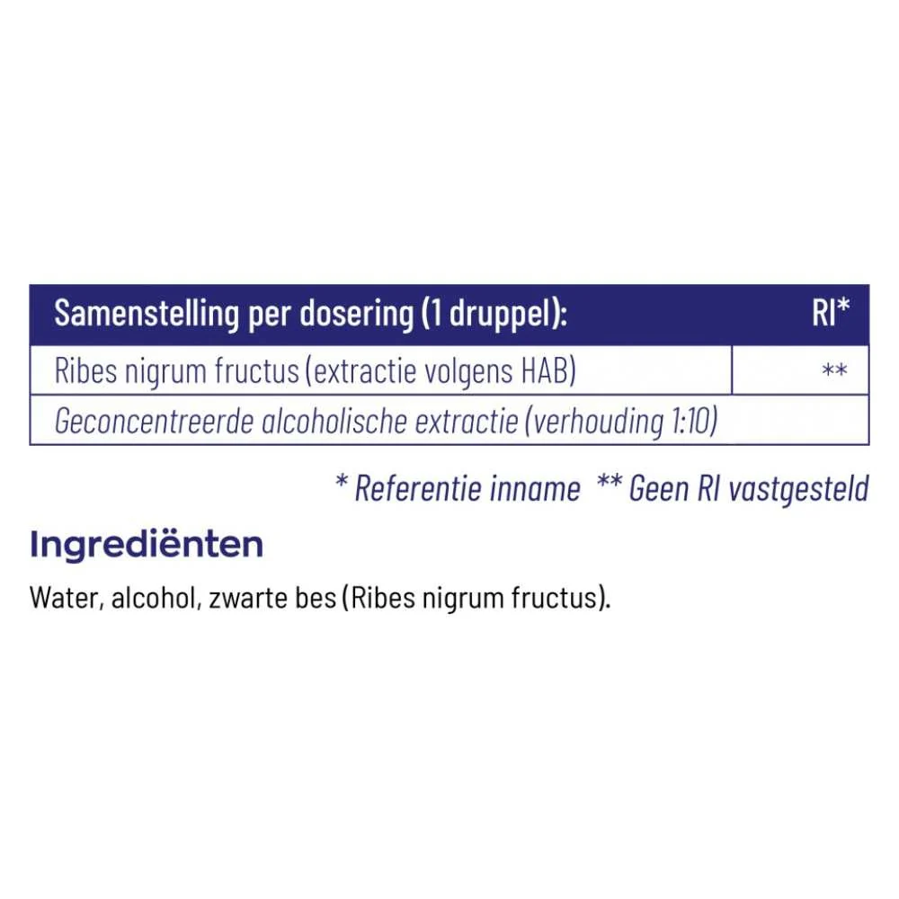 Ribus Nigrum Tinctuur - 50ml - Image 4